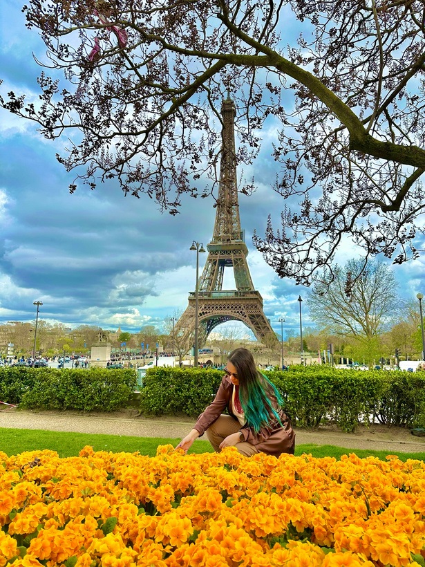Paris vista